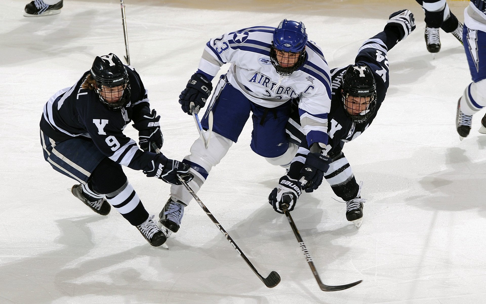 篮球青少年比赛裁判员培训体系不断完善，关于举办篮球裁判员培训班的通知